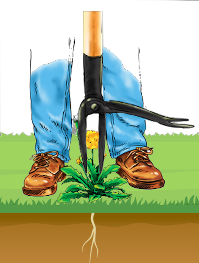 Step #1 - Center Tool Over Weed