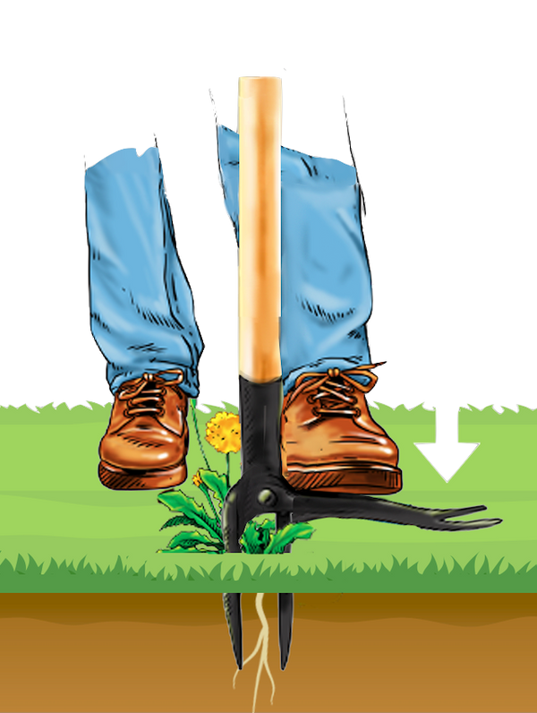 Step #2 - Press Down On Footpad