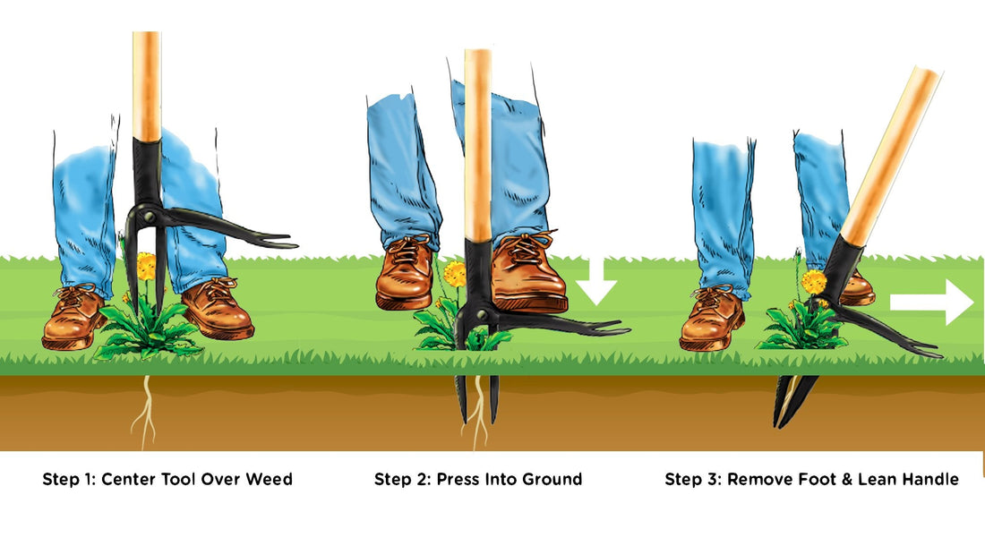 Grampa's Weeder - The Original Stand Up Weed Puller
