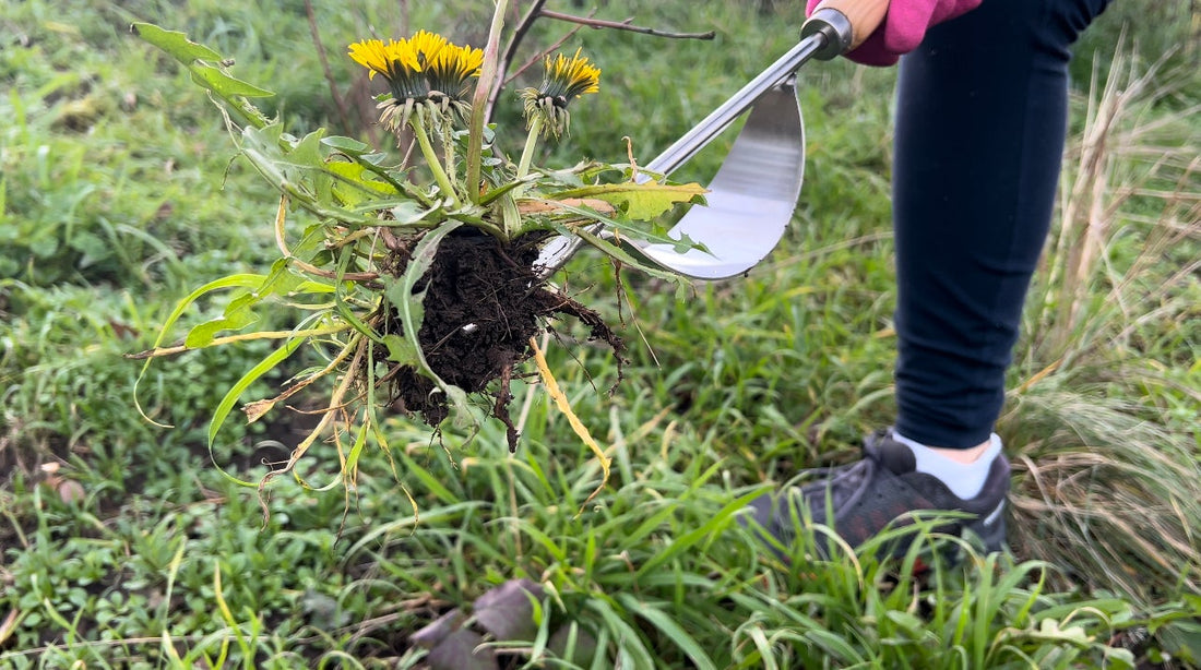 Grampa's Hand Weeder Tool