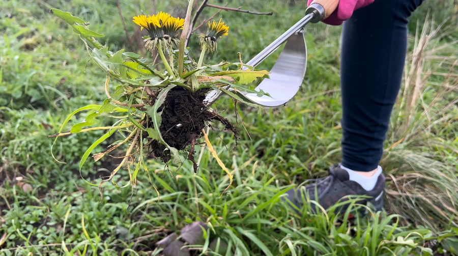 Grampa's Hand Weeder Tool