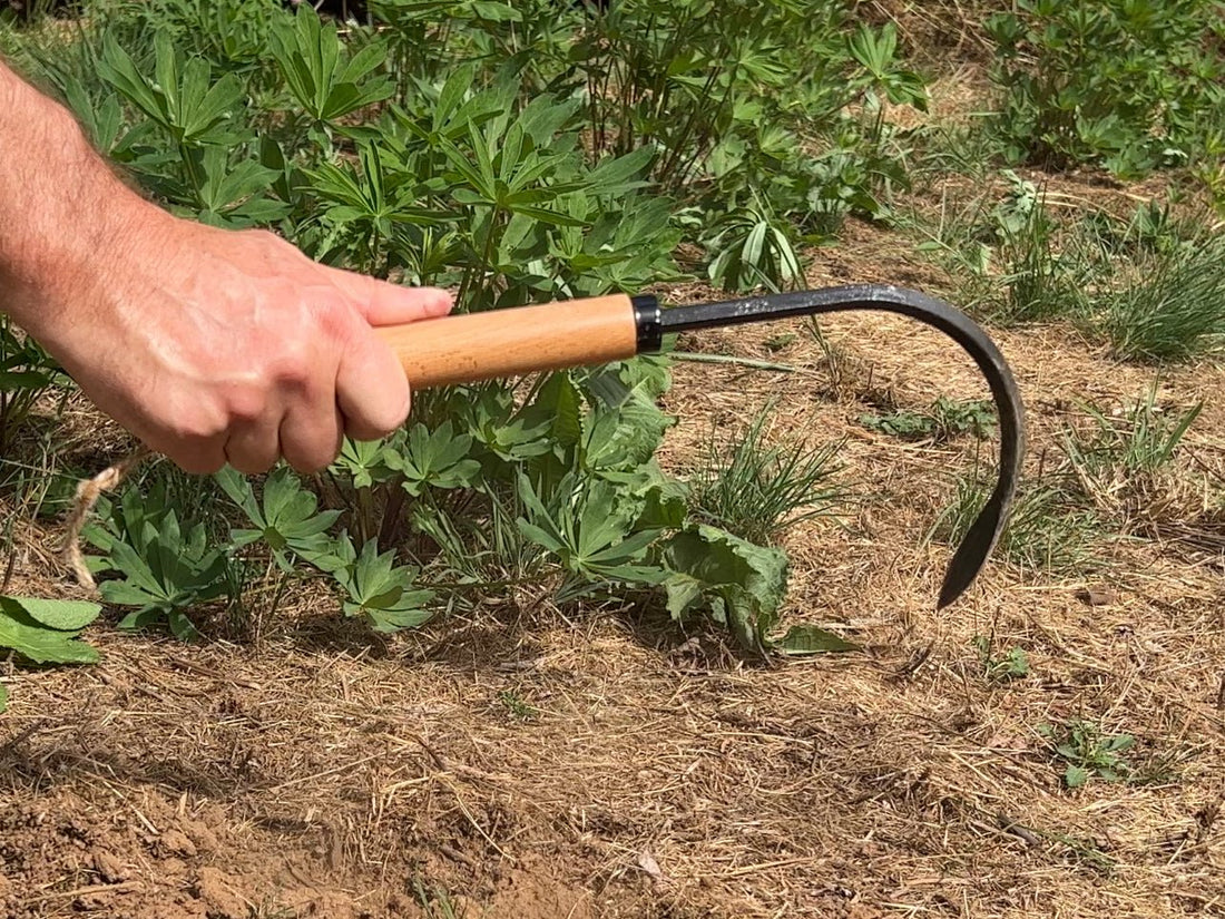 Grampa's Garden Hook - Weeder and Cultivator Hand Tool