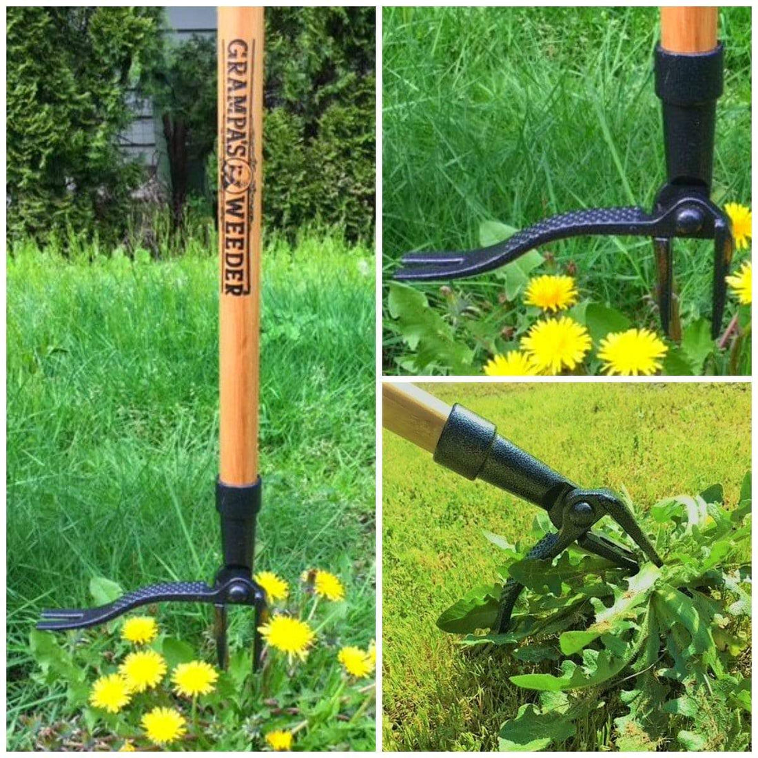 Grampa's Weeder - The Original Stand Up Weed Puller